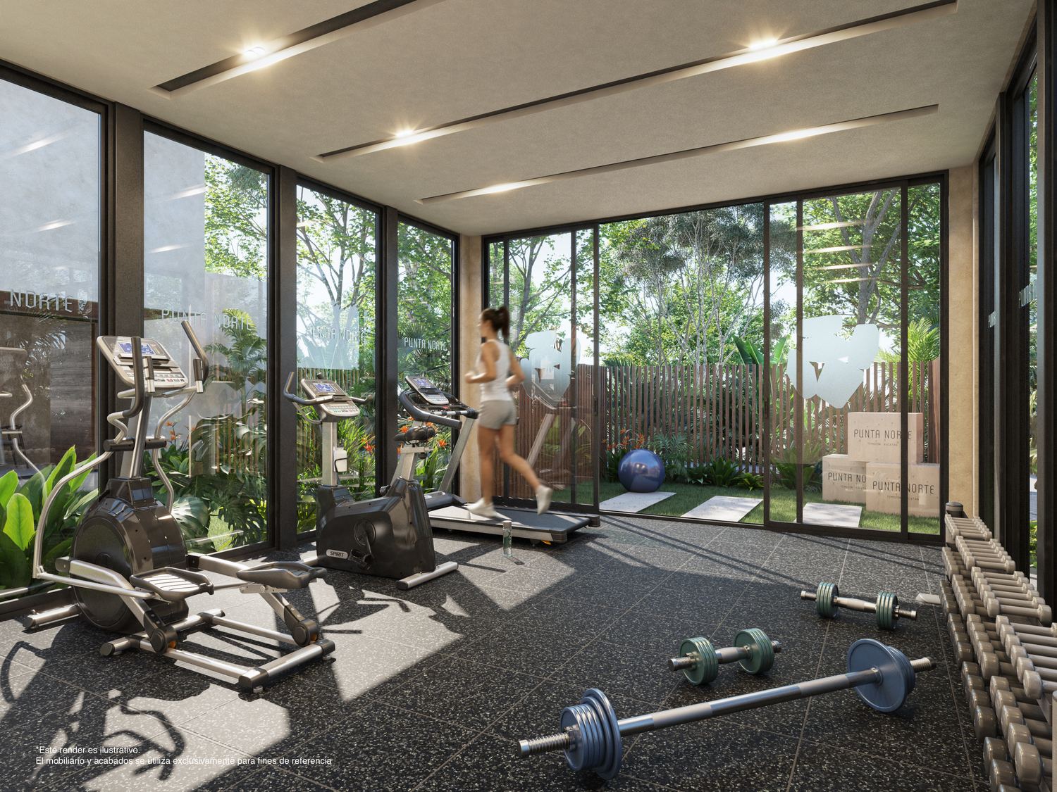 Punta Norte, Gimnasio